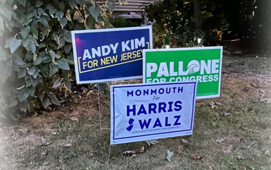 Dealing with the Frustration of Stolen Lawn Signs: A Report from Insider NJ